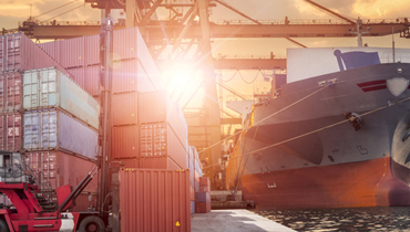 Export & Import Consulting